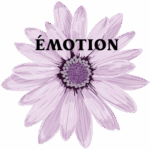 4 removebg preview(1)