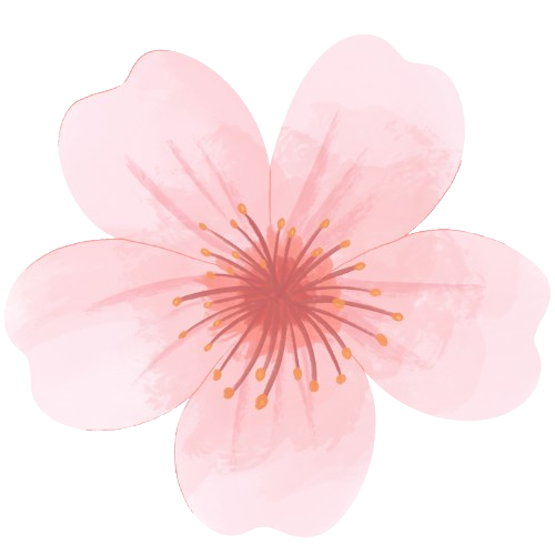 2 removebg preview(2)