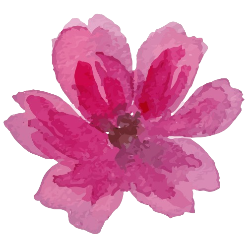 4 removebg preview(2)